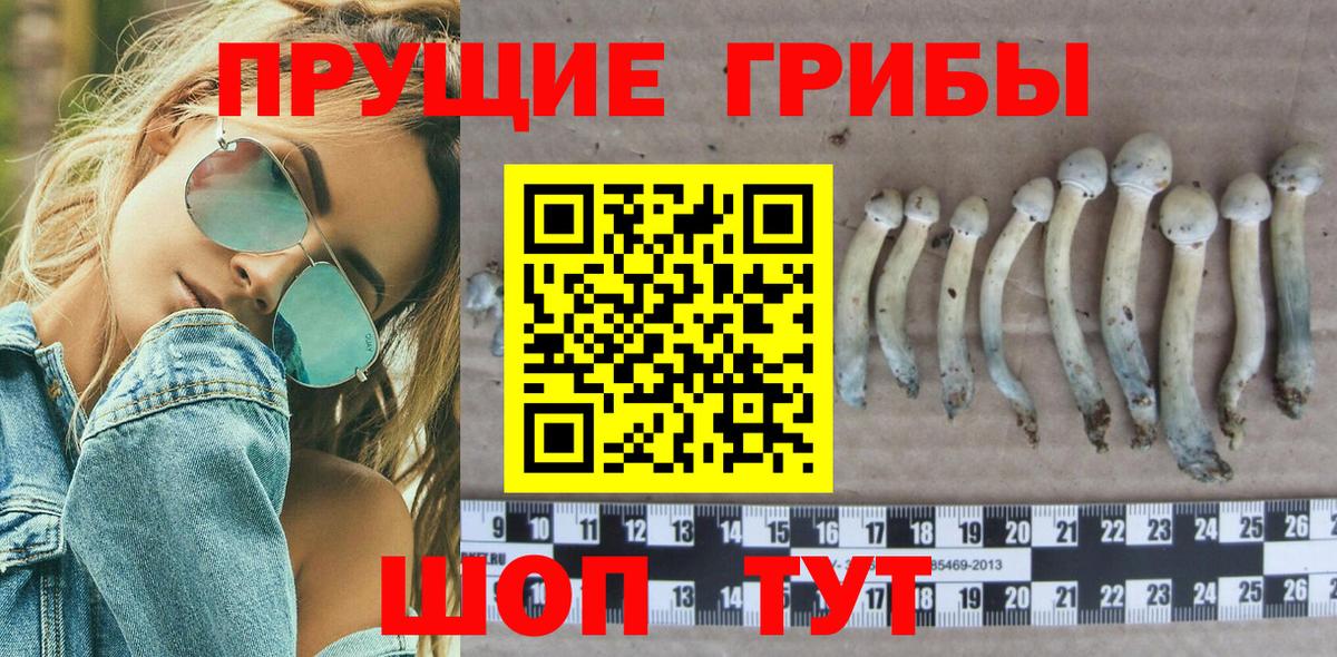 Краснокамск  Галлюциногенные грибы GOLDEN TEACHER  Вход с VPN 