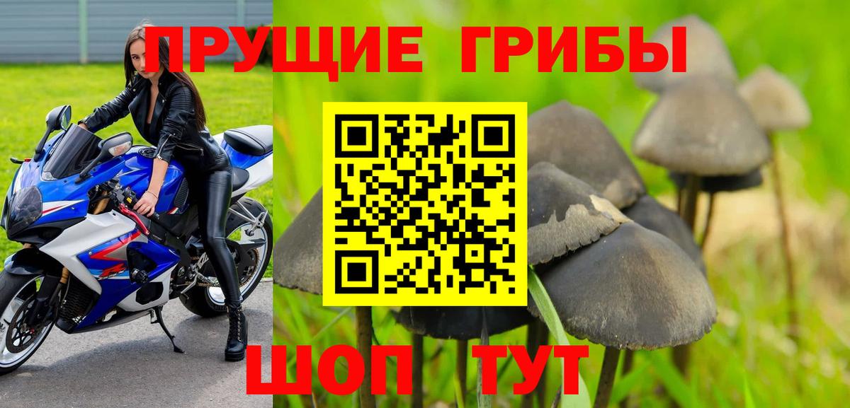 Псилоцибиновые грибы Cubensis Краснокамск